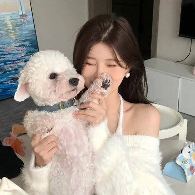 灵契第一季