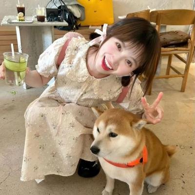 红白黑黄第二季